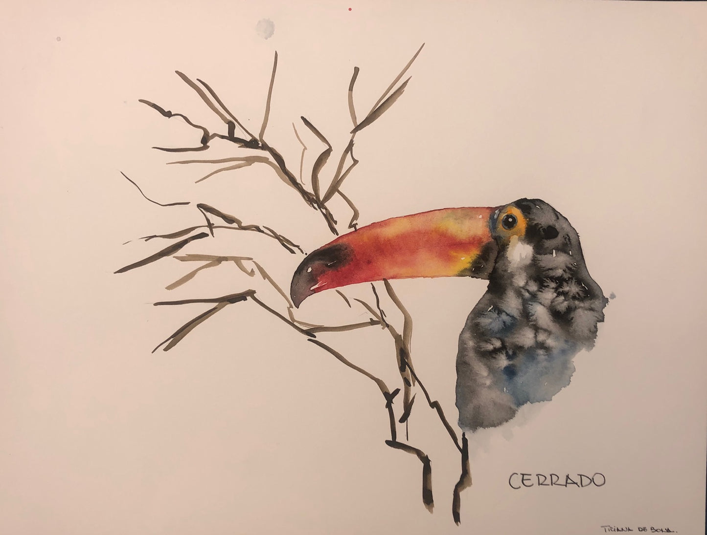 Aquarela Cerrado - MooMoo por um mundo melhor!
