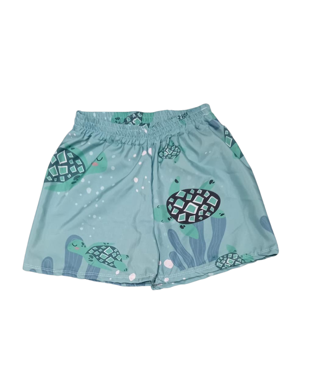 Bermuda Pet Turtle