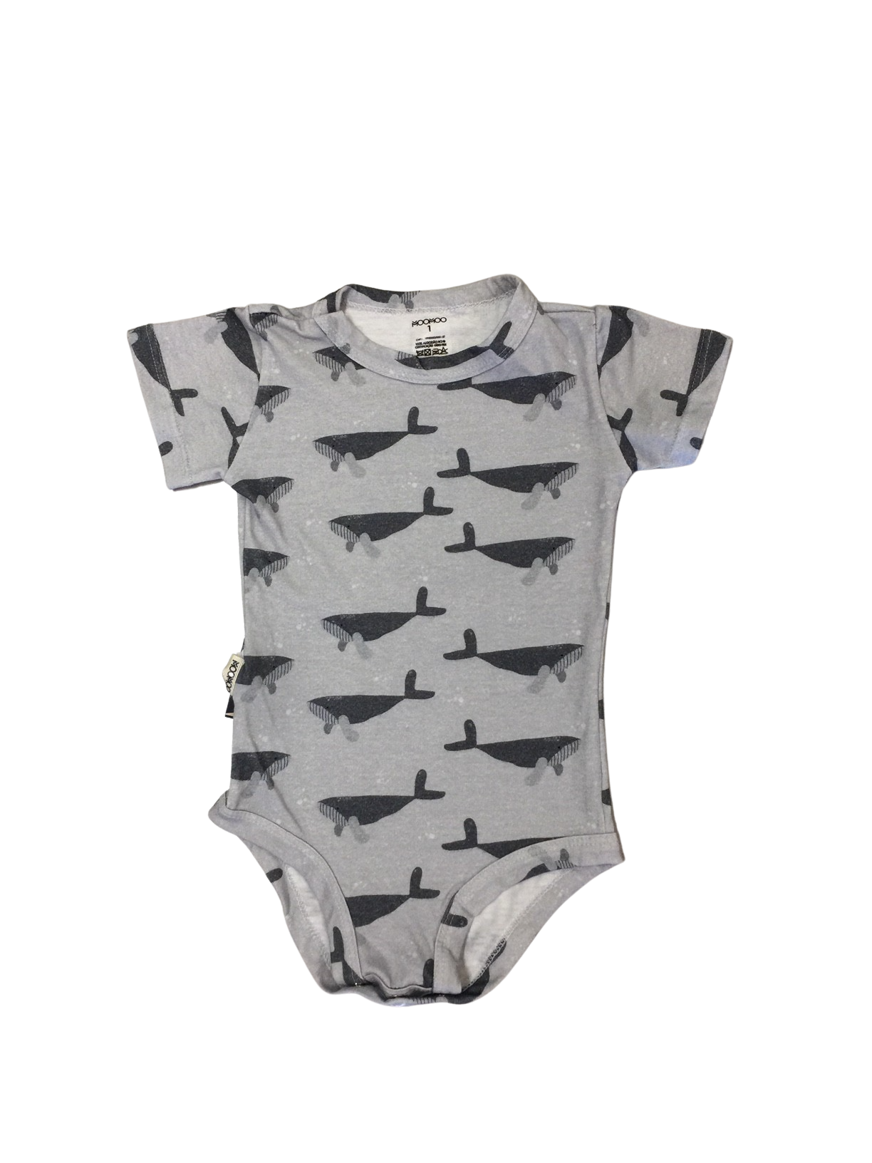 Body Whale