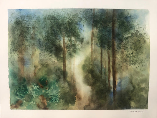 Aquarela Paisagem Amazônica - MooMoo por um mundo melhor!