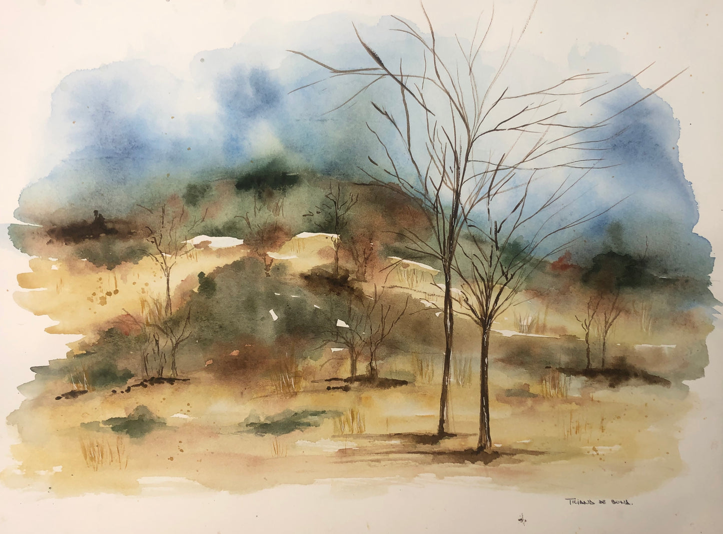 Aquarela Paisagem Cerrado - MooMoo por um mundo melhor!