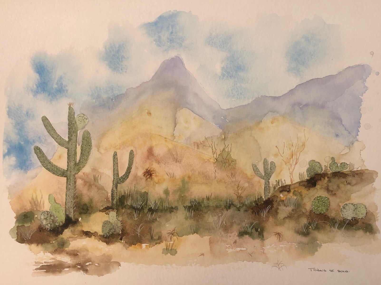 Aquarela Paisagem Caatinga - MooMoo por um mundo melhor!